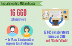 le bimsa